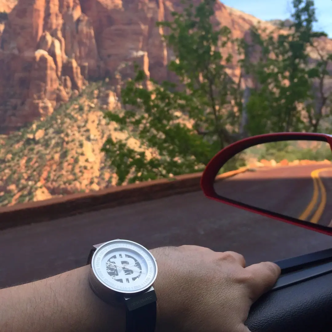 A person's arm resting on a car door with a wristwatch, in front of a mountain landscape with trees and a winding road.